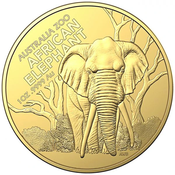 Slon africký 1 unce zlata
