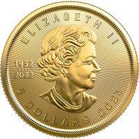 Zlatá minca Maple Leaf 2023, 1/10 oz