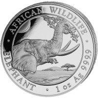 Strieborná minca Slon Somálský 1 Oz 2023