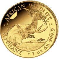 Zlatá minca 1 Oz Slon 2023 Somálsko