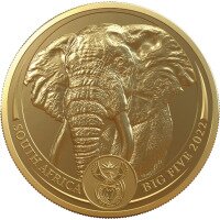 Zlatá minca slon 1 Oz - Velká petka 2023
