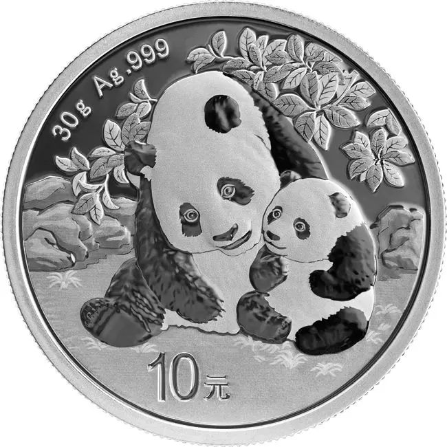 Strieborná minca Panda 30 g 2024