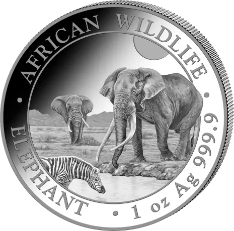 Stříbrná minca Slon Somálský 2026, 1 oz