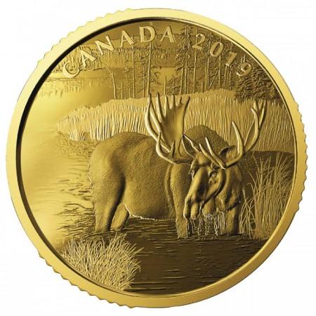 Zlatá minca - Kanadský los PP