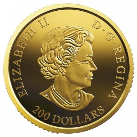 Zlatá minca - Kanadský los PP