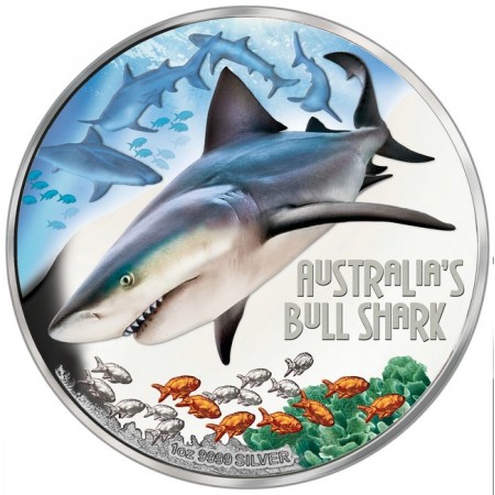 1 Dollar Strieborná minca  Žralok belavý PP