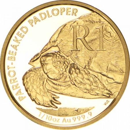 Zlatá minca Homopus areolatus  - Korytnačka 