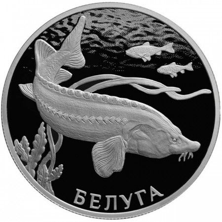 2 ruble, strieborná minca: Ohrožené druhy - Beluha PP