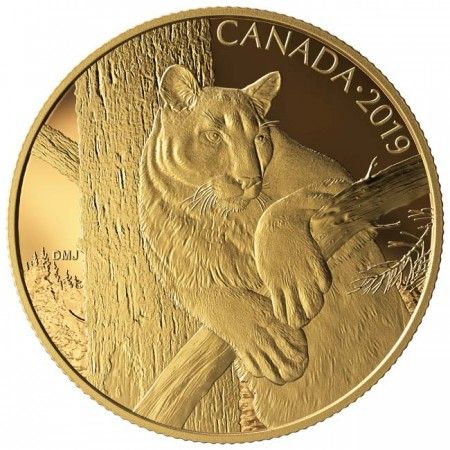 350 Dollar Zlatá mince - Puma PP