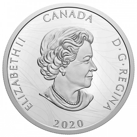 Orel bělohlavý 2020, stříbrná mince