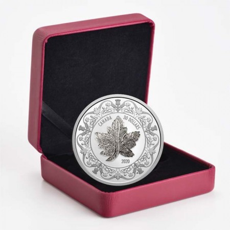 30 dolar Stříbrná mince Javorový list - brož