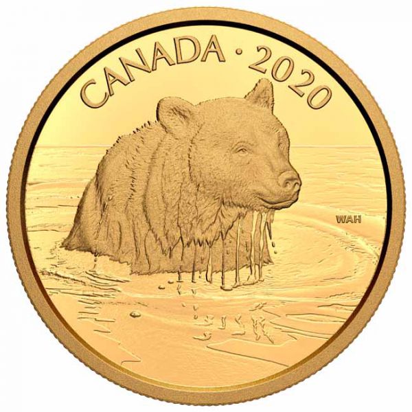 350 dolar Zlatá mince Grizzly