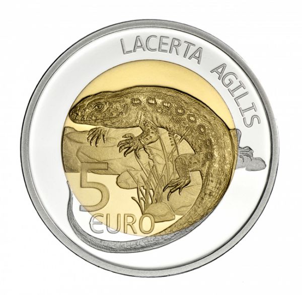 5 Euro Stříbrná mince Ještěrka obecná
