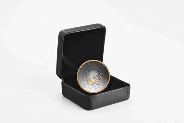 25 dolar Stříbrná mince 125 let zlaté horečky - Klondike
