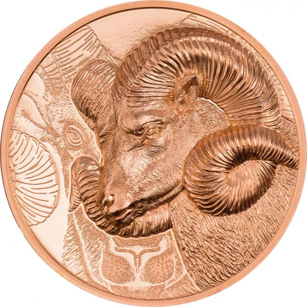 Velkolepý Argali,  50 g měděná mince