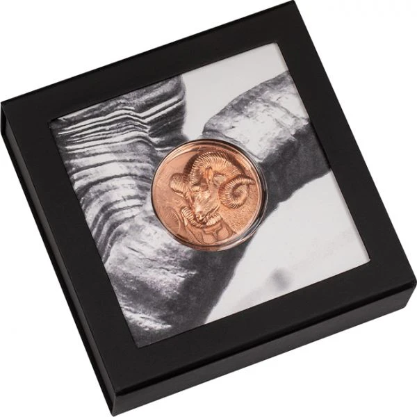 Velkolepá měděná mince Argali 50 g