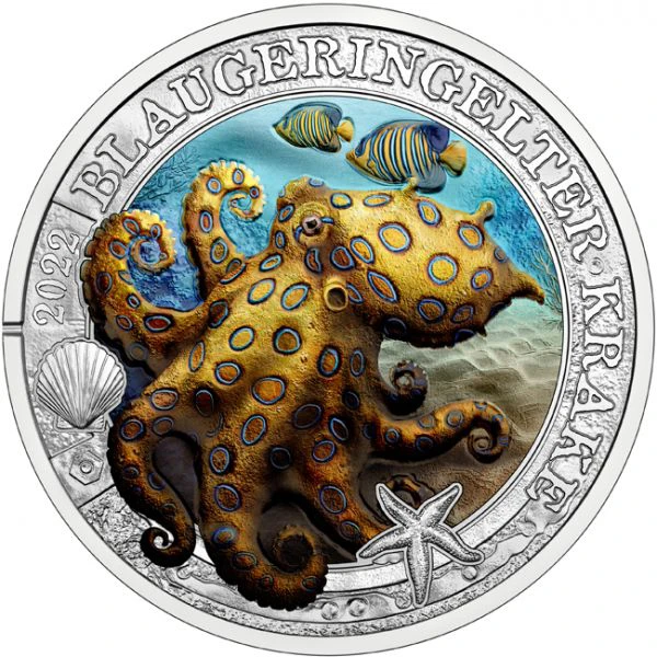 Modrá kroužková chobotnice - Uvedení nové série Shining Sea Worlds