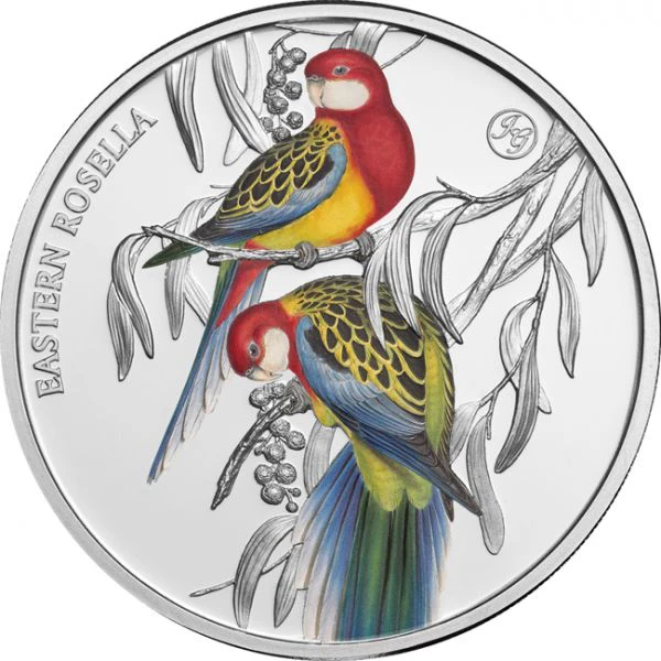 Rozela - australský papoušek