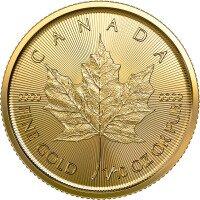 Zlatá minca Maple Leaf 2023, 1/10 oz
