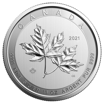 Strieborná minca Velkolepý Maple Leaf - rôzne roky, 10 oz