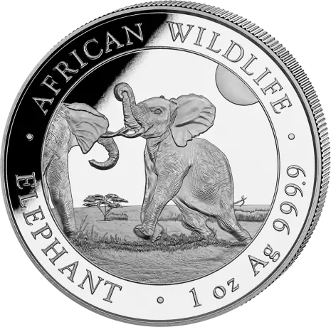 Strieborná minca Slon Somálský 2024, 1 oz