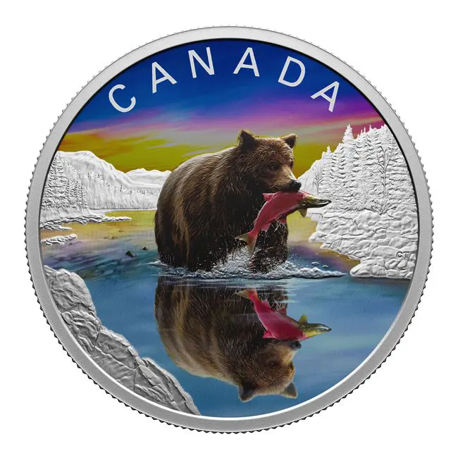 Medvěd grizzly 2024, 1 oz stříbra