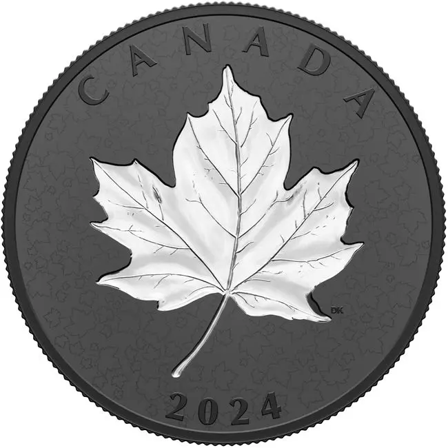 Maple Leaf v pohybu 2024