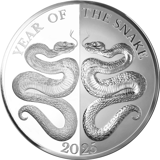 Lunární had 2025 - Zrdcadlo, 1 oz stříbra v etuji