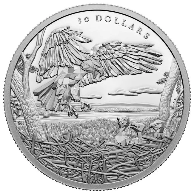 Mnohostranný orel bělohlavý 2 oz stříbro