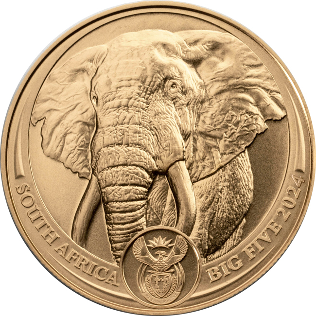 Zlatá minca Slon 2024 - Big Five, 1 oz
