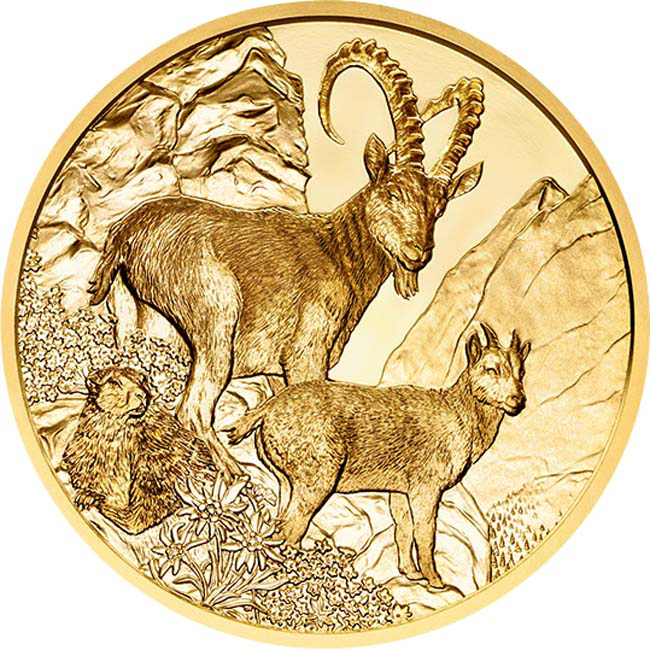 Kozorožec alpský, zlatá mince