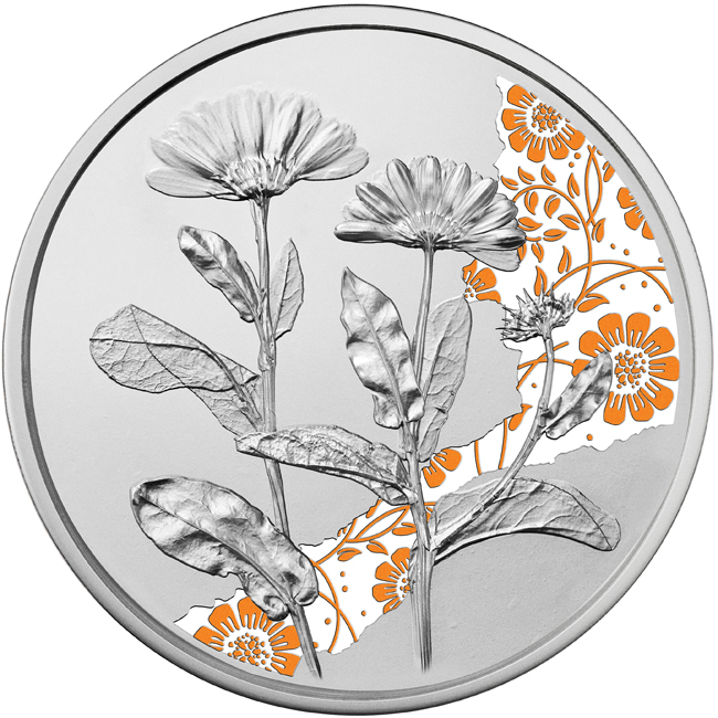 Měsíček lékařský, stříbrná mince