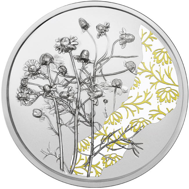 Heřmánek, stříbrná mince