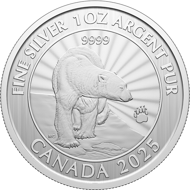 Majestátní lední medvěd 2025, 1 oz v blistru