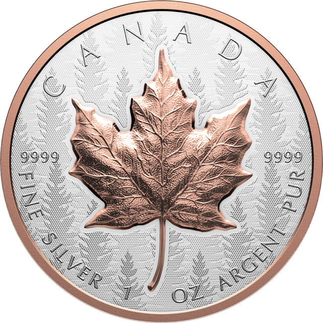 Maple Leaf 2025, stříbrná mince v etuji, 1 oz
