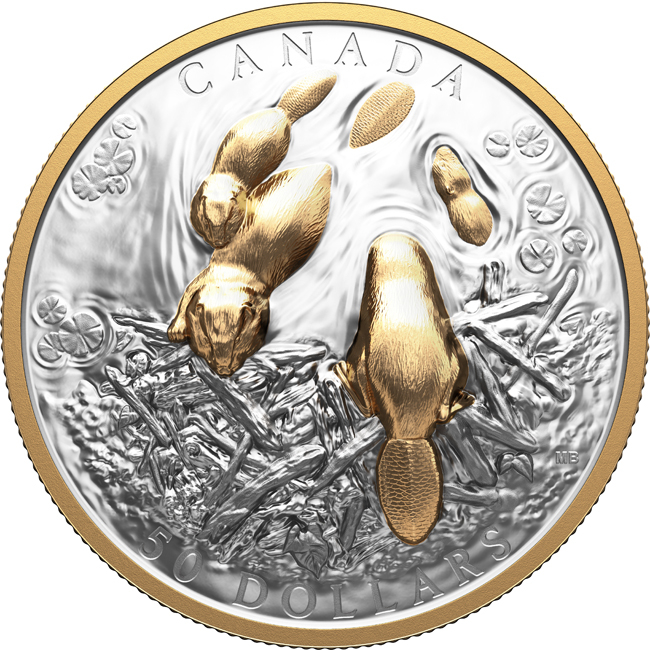 Bobr 2025, stříbrná mince v etuji, 100 g