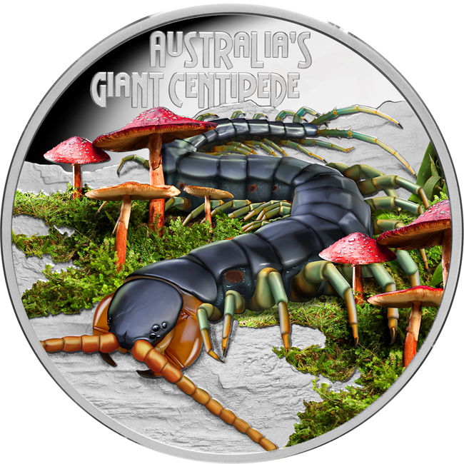 Riesen-Tausendfüßler