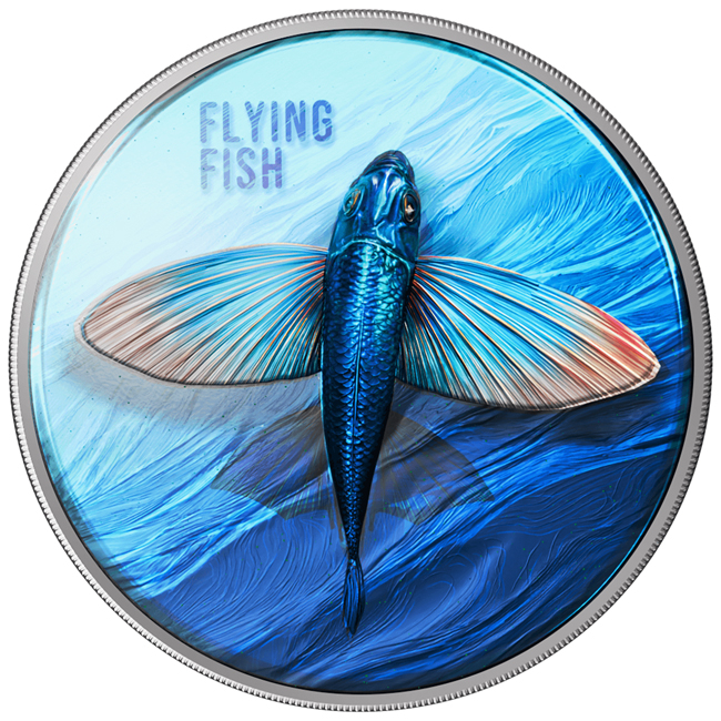 Flying Fish