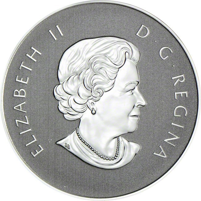 Rok hada 2013, stříbrná mince