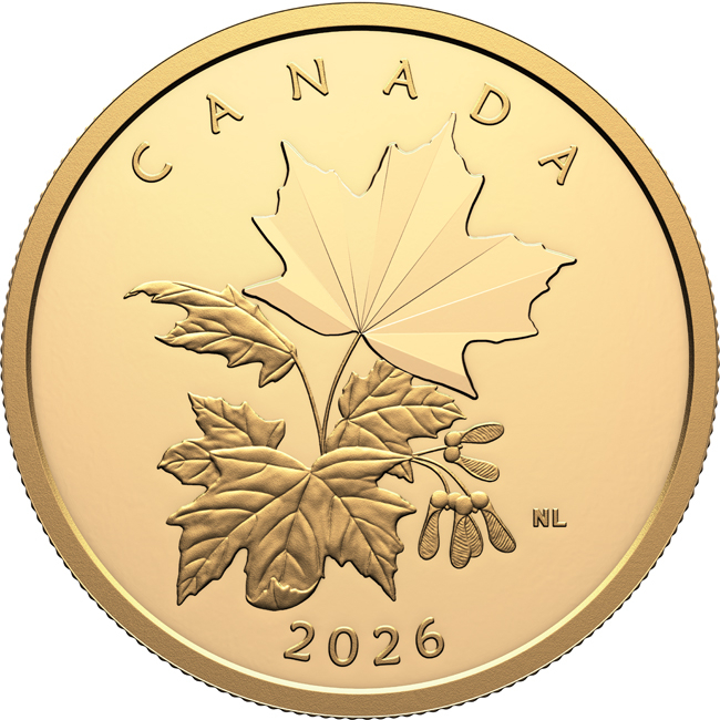 Multifaceted Maple Leaves