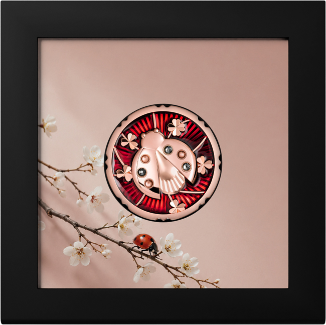Evergreen Ladybug