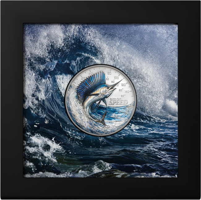 Sailfish