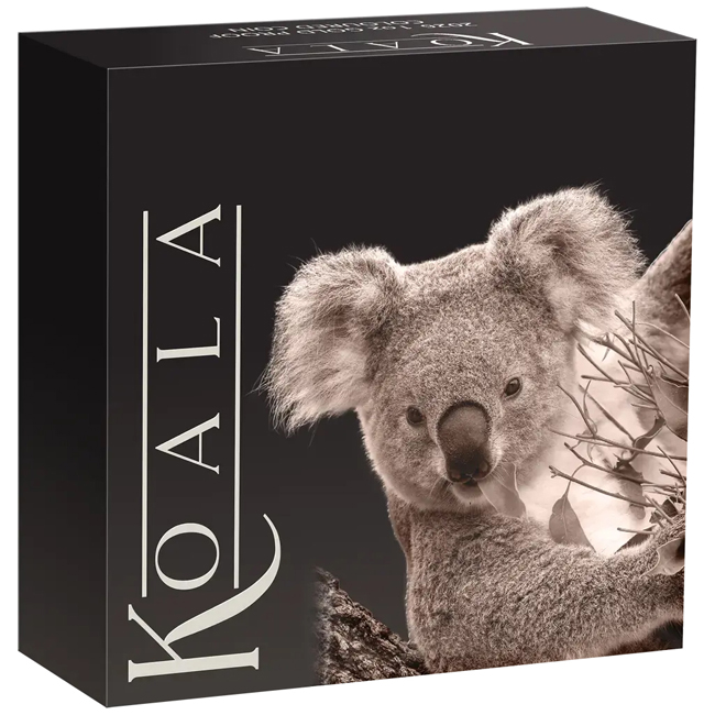 Koala